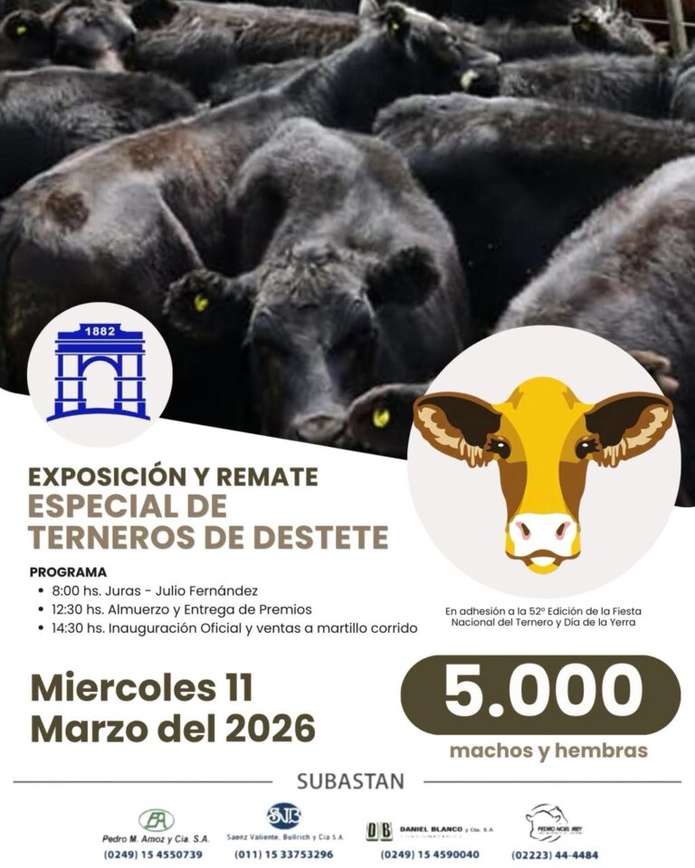 5 mil terneros anotados, para el gran remate especial en la Sociedad Rural de Ayacucho