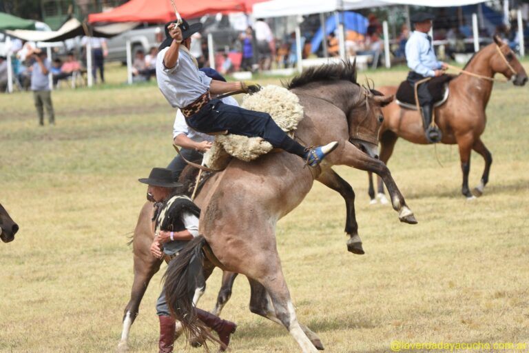 La chacra Municipal brilla con todo su esplendor