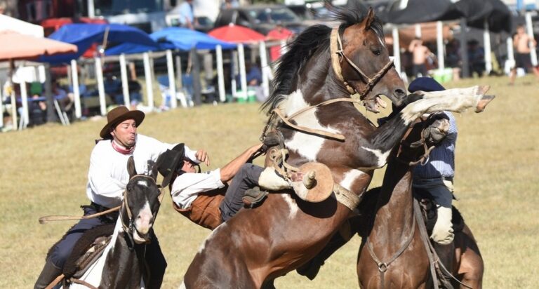 Galería de fotos: Un domingo inolvidable en la Chacra Municipal