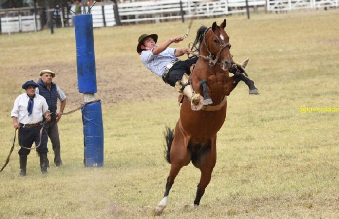 tropillas 055 (Copiar)