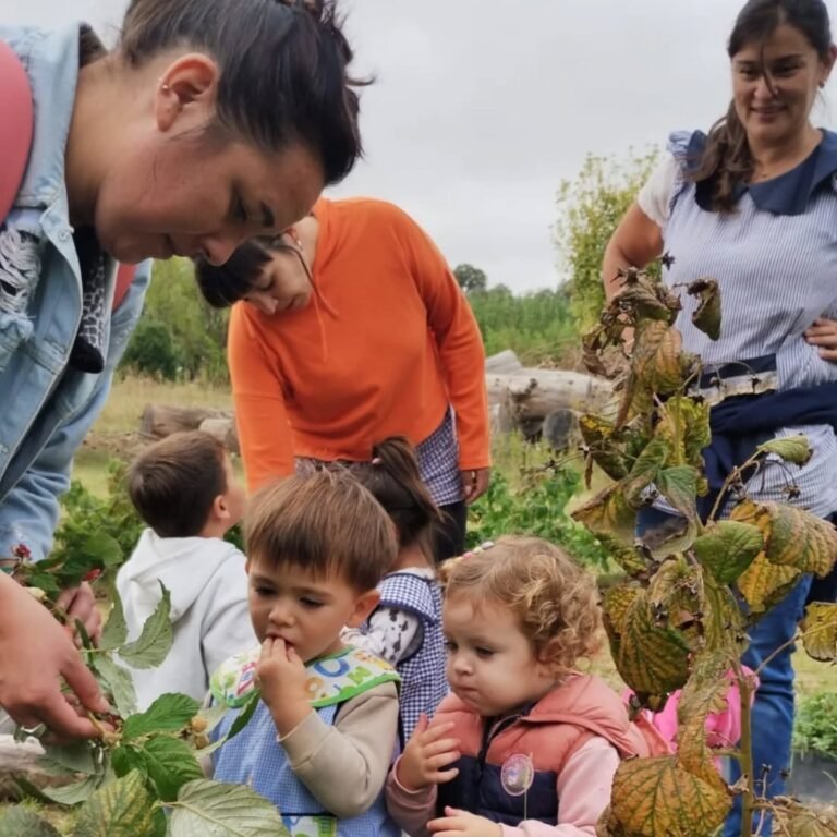 Emprendimiento de variedades de Frambuesas y Zarzamoras