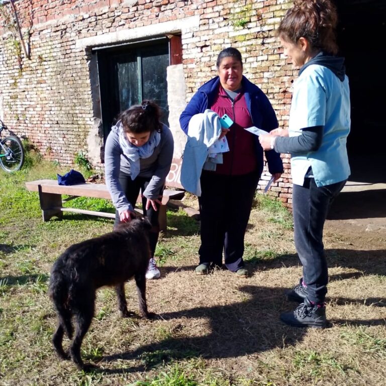 Jornada de Salud Animal en La Constancia