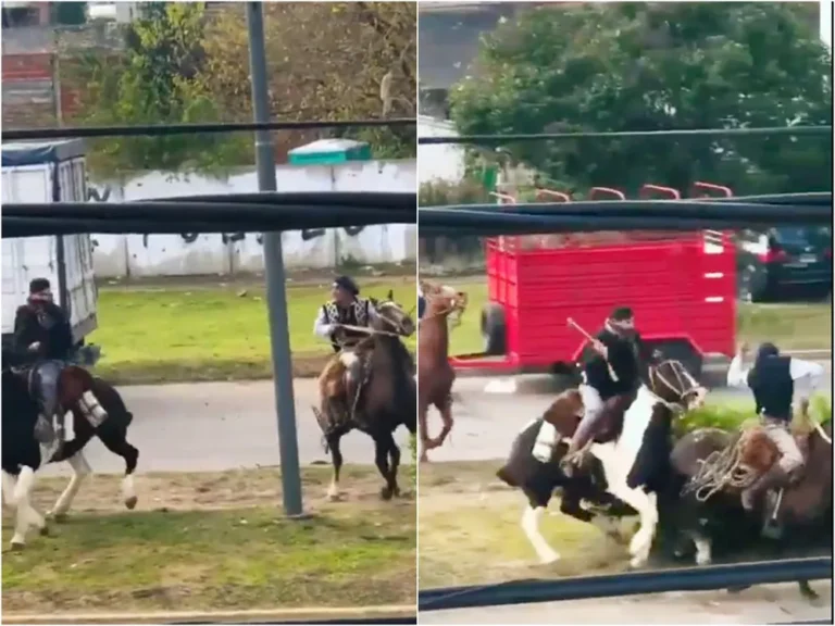 Insólito: en pleno festejo patrio dos jinetes se pelearon a rebencazos en Berazategui