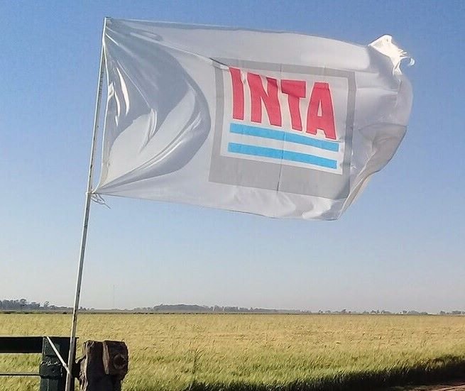 inta