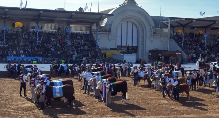 Exposición Rural 2026: los números de la gran fiesta del campo